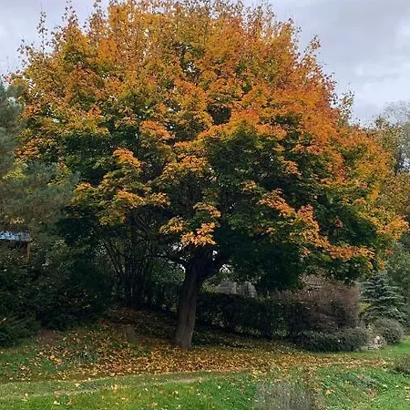 Villa Chata U Pindi Kolodeje nad Luznici
