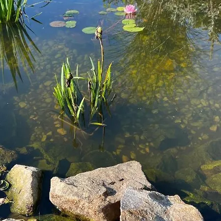 Chata U Pindi Villa Kolodeje nad Luznici